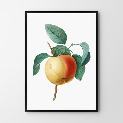 Plakat vintage jabłko kwiat 21x29,7 cm A4 na Arena.pl
