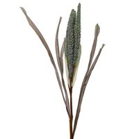 Dodatek trawa morska turkus