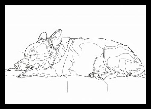 Plakat 29,7x21cm Śpiący Psiak na Arena.pl