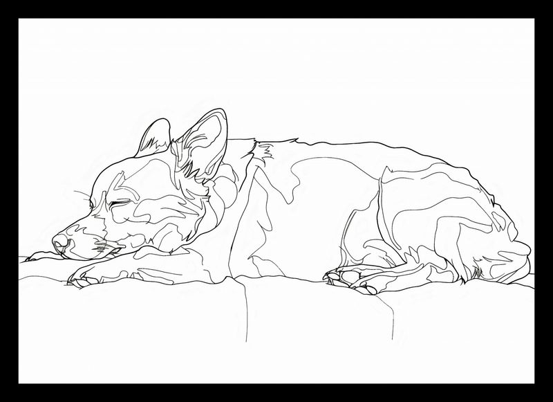 Plakat 29,7x21cm Śpiący Psiak zdjęcie 2