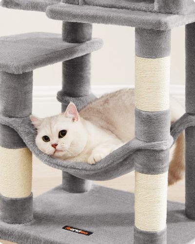 Drapak - PCT261W01 na Arena.pl