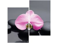 product-compare-58647756