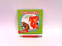 Pokoloruj Zwierzaki z lasu 58.11.13.0 59031