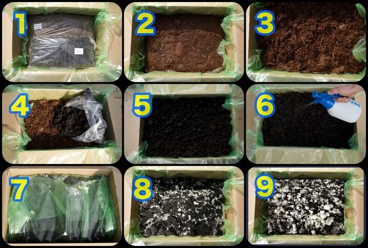 3 Faza Grzybnia Pieczarki Zestaw XL + gratis 6w1 zdjęcie 4