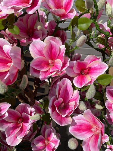 Sztuczne drzewko magnolia Premium 180 cm na Arena.pl