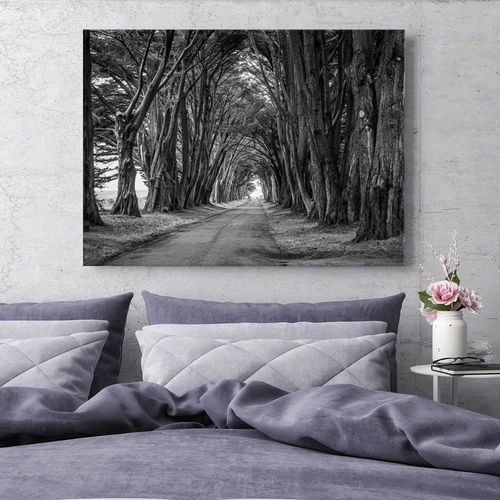 Obraz na płótnie - Canvas, Leśna aleja drzew 90x60 na Arena.pl