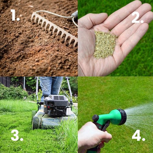 Trawa Nasiona Uniwersalna 5kg na Tereny Suche Trawnik 200m2 Mieszanka Traw na Arena.pl