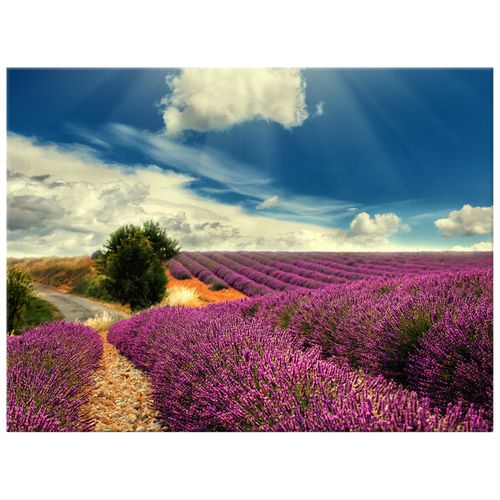 40X30 Obraz Na Prawdziwym Płótnie na Arena.pl