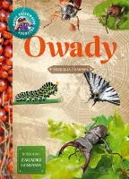 Owady