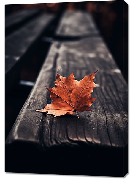 Obraz 70x100cm Pojedynczy Liść zdjęcie 1