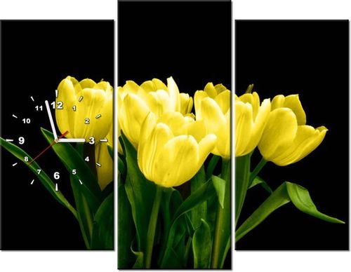 90CM 70 ZEGAR 3 ELEM ŻÓŁTE TULIPANY- MARK FREETH SCIENNY DRUK na Arena.pl
