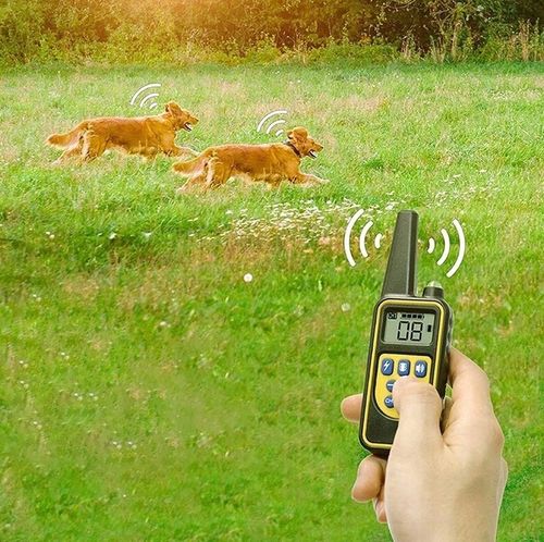 ELEKTRYCZNA OBROŻA DLA PSA 800M TRENINGOWA + PILOT na Arena.pl