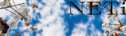 NETi Dopasowane Kolorowe Bokserki Męskie Bawełna-Modal z Szeroką Gumą 4-Pak na Arena.pl