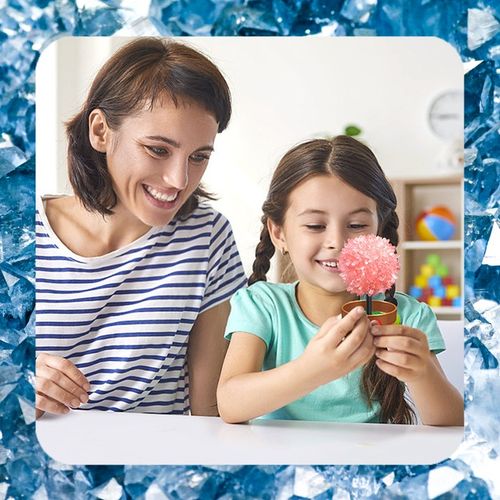 HODOWLA KRYSZTAŁÓW KRYSZTAŁY Eksperyment Edukacyjny 6 Drzewek Zestaw XXL na Arena.pl