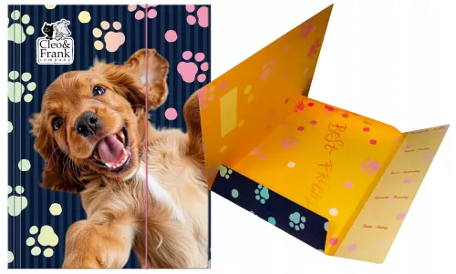 Teczka Z Gumką A4 Derform na Arena.pl