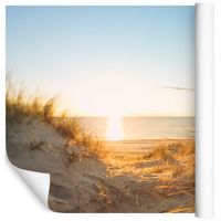 Fototapeta PLAŻA Wydmy Krajobraz do Jadalni 3D 450x300