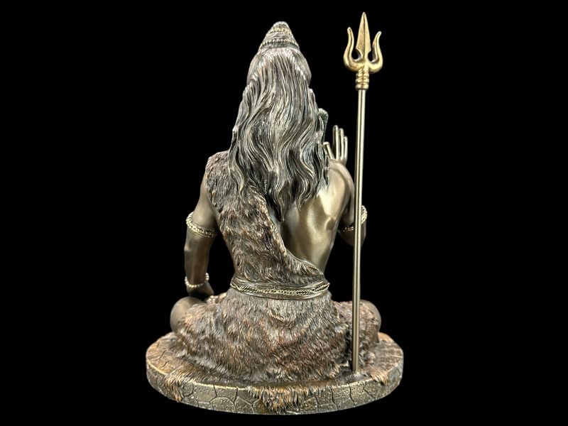 MEDYTUJĄCY SHIVA VERONESE WU76758A4 zdjęcie 8