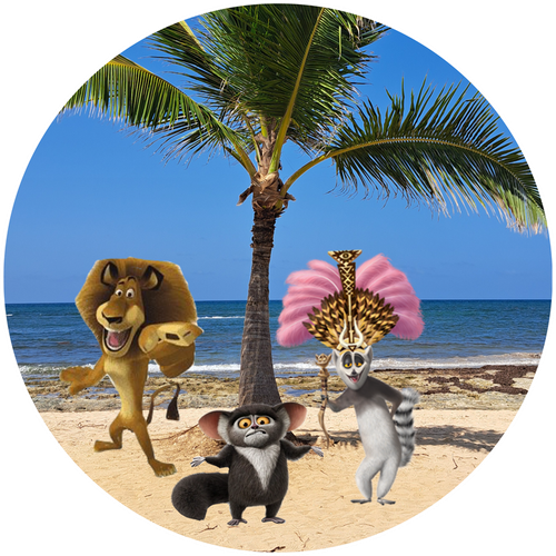 Opłatek na tort Król Lew Madagaskar Pingwiny Żyrafa Zwierzęta Tekst Gratis na Arena.pl