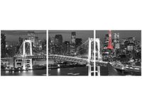 90X30CM TOKYO MOST TĘCZOWY TRÓJ OBRAZ