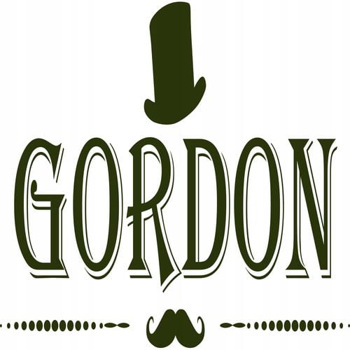 B804 PRO GORDON CORDLESS GORDON TRIMMER na Arena.pl