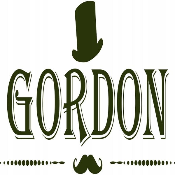 B804 PRO GORDON CORDLESS GORDON TRIMMER zdjęcie 6