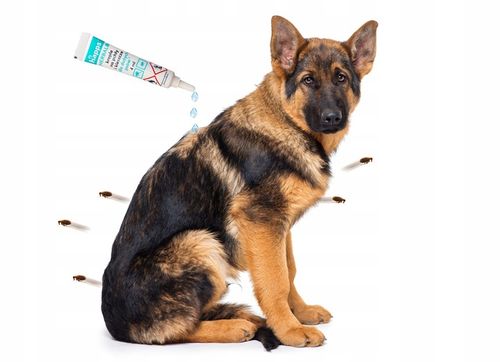 KROPLE NA PCHŁY KLESZCZE DLA DUŻYCH PSÓW (20-40KG) HAPPS DŁUGIE DZIAŁANIE na Arena.pl