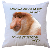 Poduszka dla Janusza