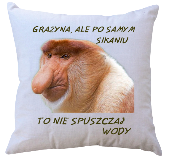 Poduszka dla Janusza zdjęcie 1