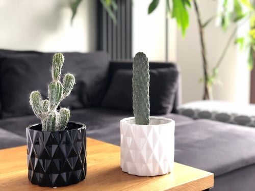 DONICZKA OSŁONKA CERAMICZNA BIAŁA OZDOBA na Arena.pl