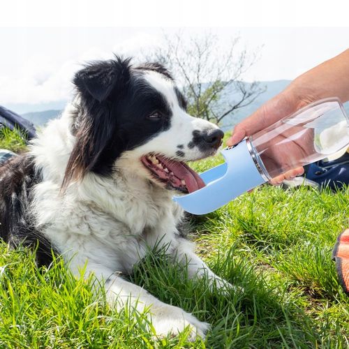 Poidło dla psa Bidon z miską na Wodę 500ml na Arena.pl