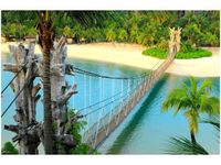 product-compare-58694579