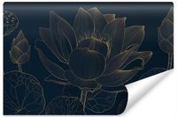 product-compare-55979379