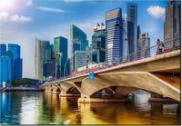 100 70CM OBRAZ PŁÓTNO SINGAPUR PŁÓTNO RAMA