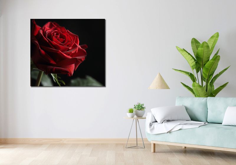 Obraz 100x90cm Róża w Półcieniu zdjęcie 2
