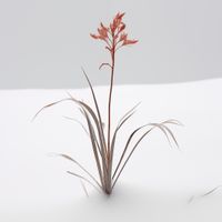 product-compare-59356762