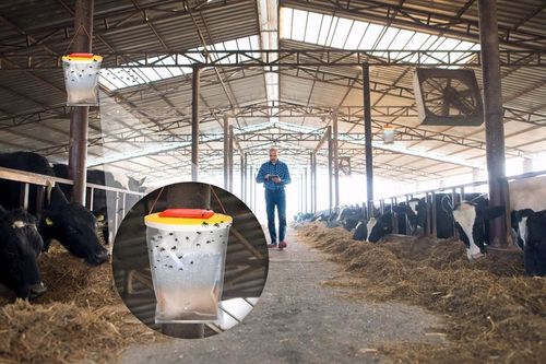 ŚRODEK WOREK PUŁAPKA NA MUCHY KOMARY OSY MESZKI NO PEST FLY CATCHER (3 SZT) na Arena.pl