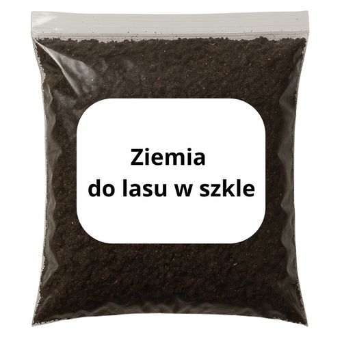 LAS W SŁOIKU SZKLE KOMPLETNY 10 elementów Z ROŚLINKĄ I KULA SŁÓJ ZESTAW na Arena.pl