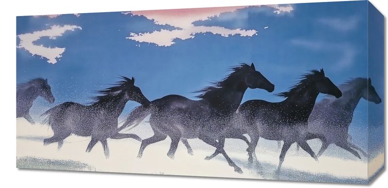 Obraz 60x30cm Wolność i Swoboda zdjęcie 1