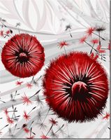 40CM 50CM OBRAZEK ŚCIENNY CZERWONE DMUCHAWCE 2 DRUK PŁÓTNO OBRAZ