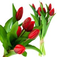 TULIPAN GUMOWANY BUKIET X7 CZERWONE JAK ŻYWE
