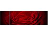90CM 80 OBRAZ 3 ELEM RÓŻA UKOCHANEJ ŚCIENNY