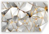 Fototapeta PREMIUM STRUKTURA ZMYWALANA abstrakcja biała tapeta złote linie