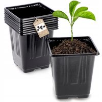 DONICZKI PRODUKCYJNE DO ROZSAD SADZONEK 10cm 9szt.