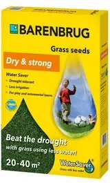 Trawa Barenbrug na suszę WATER SAVER 1kg 40m2 Nasiona Traw Dry&Strong na Arena.pl