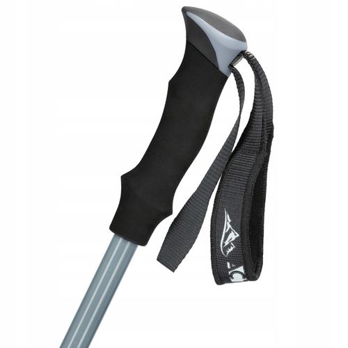 SOLIDNE KIJE TREKKINGOWE KIJKI NORDIC WALKING REGULOWANE DO CHODZENIA PRO na Arena.pl