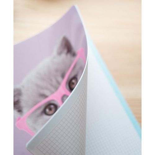 Studio Pets - Notatnik / Notes A4 Kot na Arena.pl