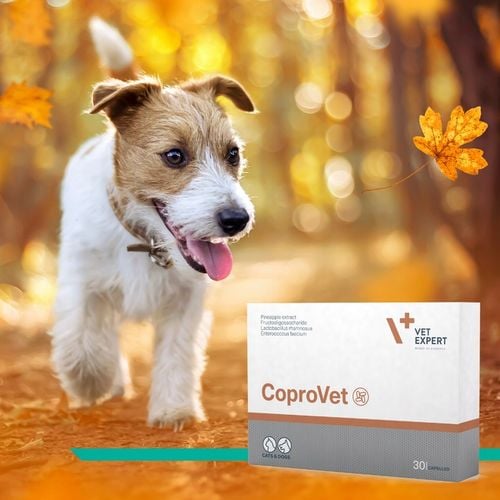 Suplement dla psów i kotów przeciw zjadaniu odchodów Vet Expert Coprovet na Arena.pl