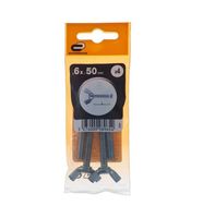 Śruba motylkowa 6x50mm stal srebrne 4 szt. fra