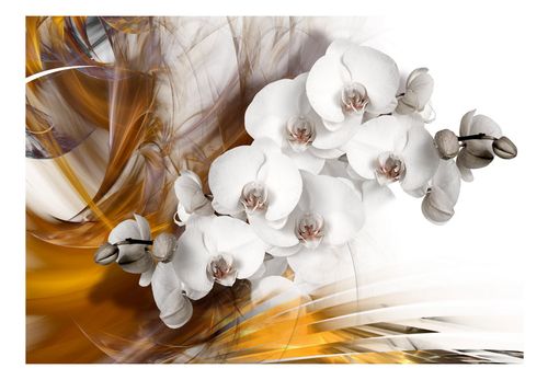 Fototapeta - Orchidea w ogniu 150x105 na Arena.pl