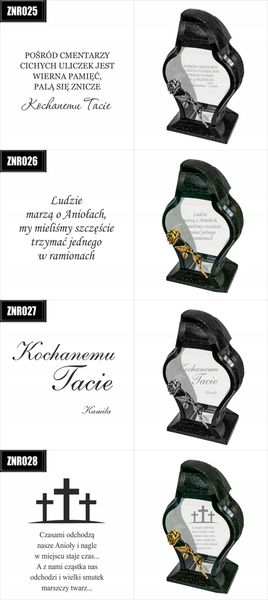 Znicz Faraon ,LL11 zdjęcie 11